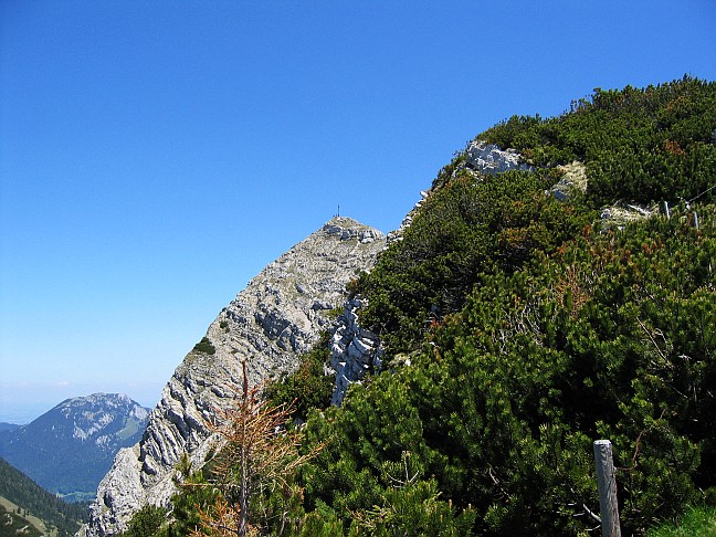 Aiplspitz