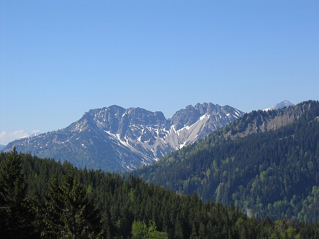 Bayrischer Schinder
