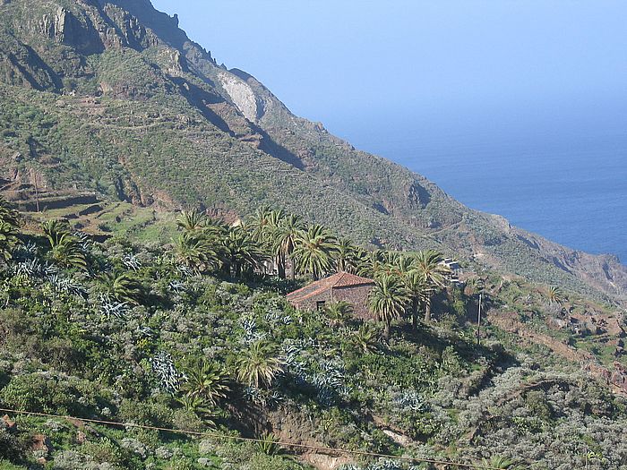 Nordküste - north coast
