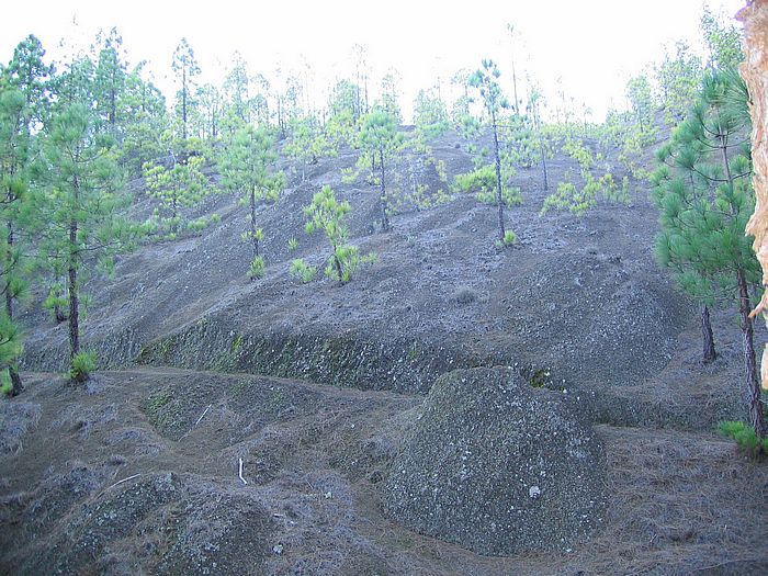 Orotavatal - Orotava valley