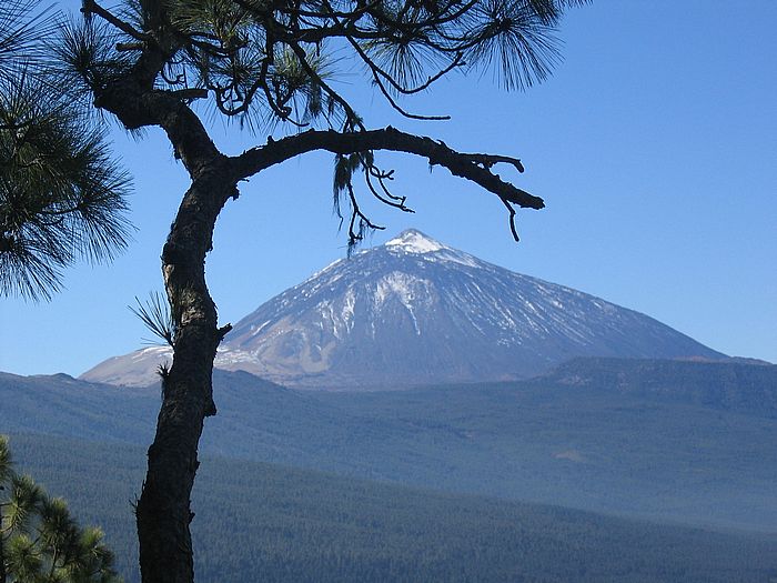 Teide