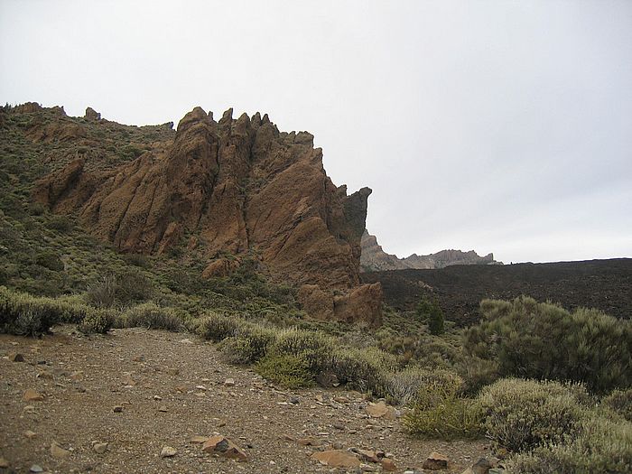Montana de Cedro