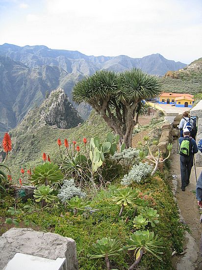 Chinamada