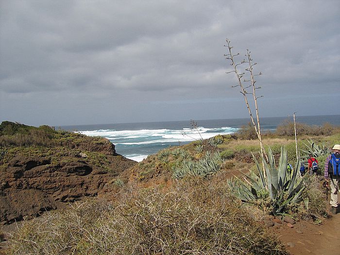 Playa de los Troches