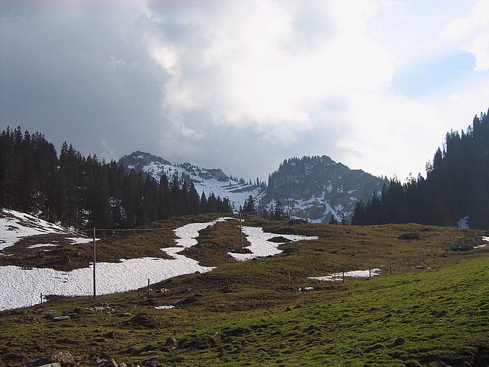 Bodenschneid
