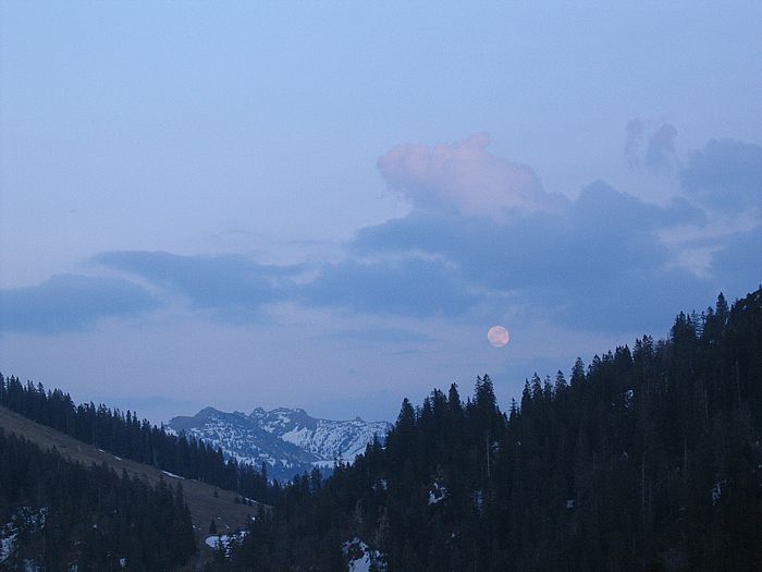 Bodenschneid