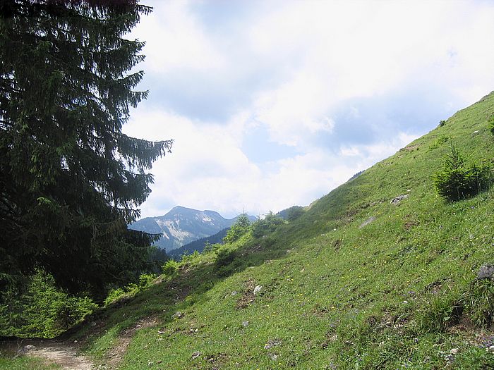 Trockenbachtal