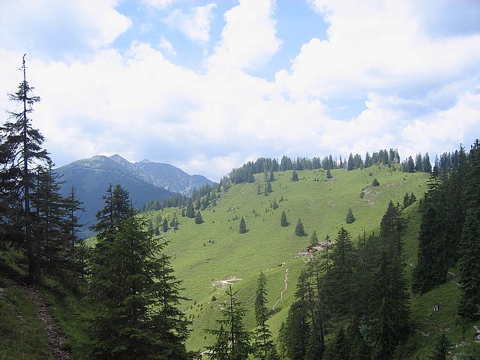 Mariandlalm