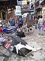 Kathmandu