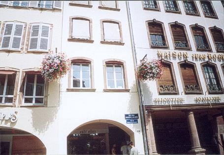 Wundersch&ouml;ne Blumenampeln!