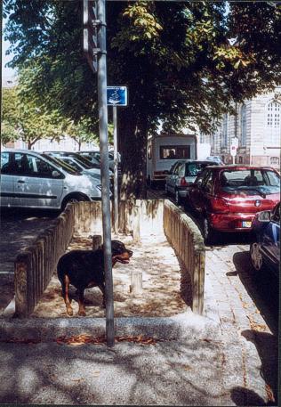 Klasse! Hundetoiletten...