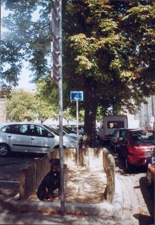 ...und einen Hund (Lucky) hatten wir auch dabei.