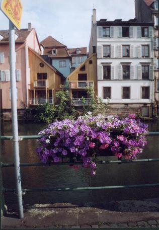 Da waren sich die Besitzer der H&auml;user rechts und links wohl nicht ganz einig, was sie mit dem frei gewordenen Platz in der Mitte machen sollten. Witzig! :-)
